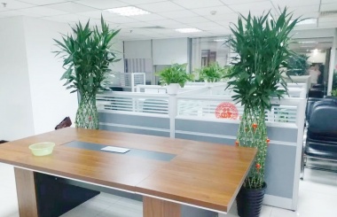 中纺大厦房源照片